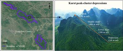 Elevational patterns of soil organic carbon and its fractions in tropical seasonal rainforests in karst peak-cluster depression region